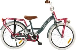 2Cycle Desire Kinderfiets - 20 Inch - Voordrager -Grijs-Roze - Meisjesfiets 9 2Cycle Desire Kinderfiets - 20 Inch - Voordrager -Grijs-Roze - Meisjesfiets -Abus Fiets Deals Store 1200x783