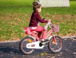Amigo Magic Meisjesfiets - Kinderfiets 12 Inch - Roze -Abus Fiets Deals Store 1200x917 17